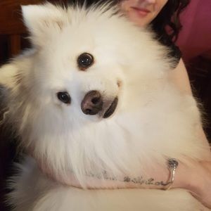 Meet your Posher, Allysa